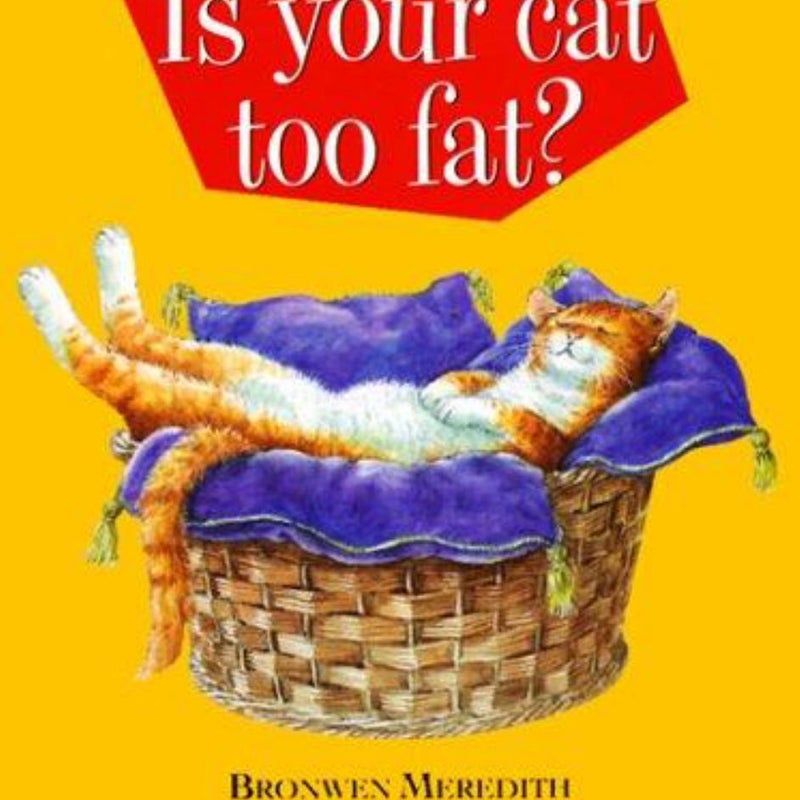 Is Your Cat Too Fat?
