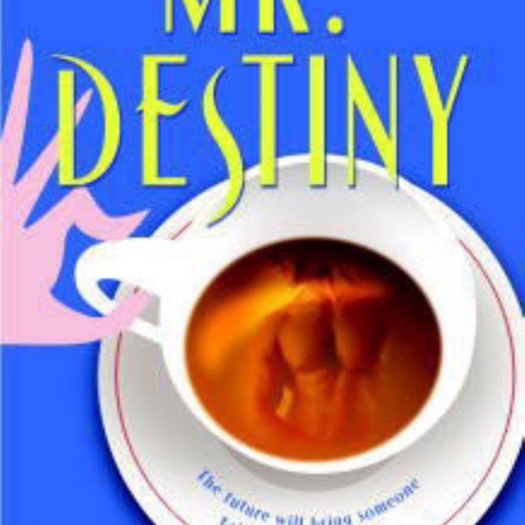 Mr. Destiny