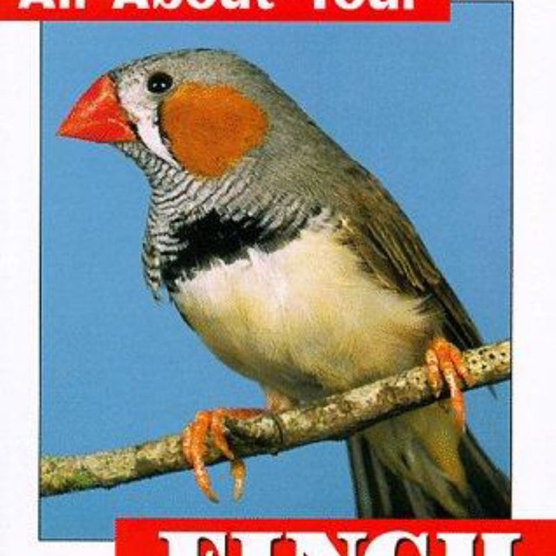 All about Your Finch