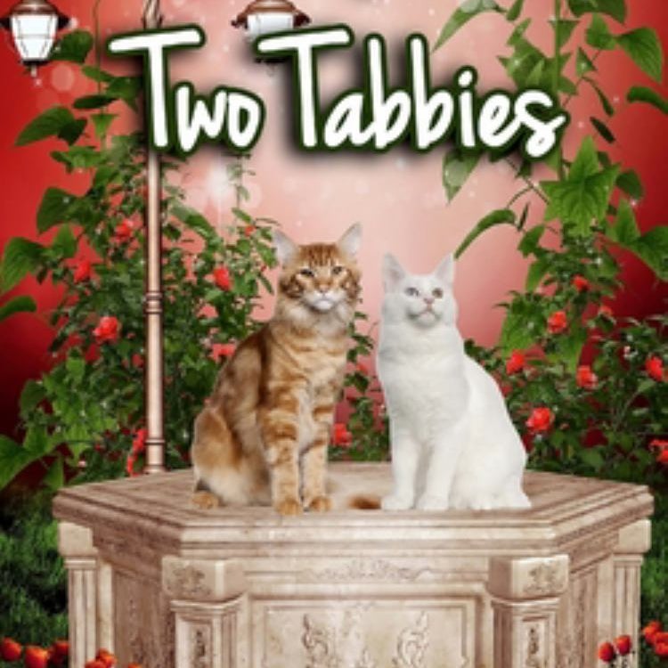 A Tale of Two Tabbies