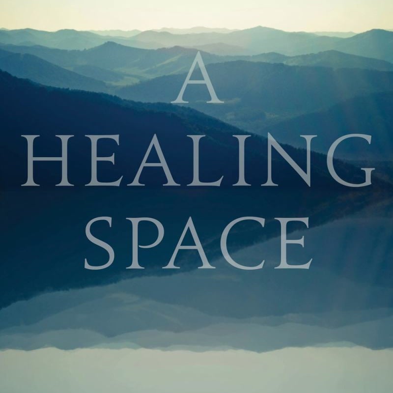 A Healing Space by Matt Licata Pangobooks