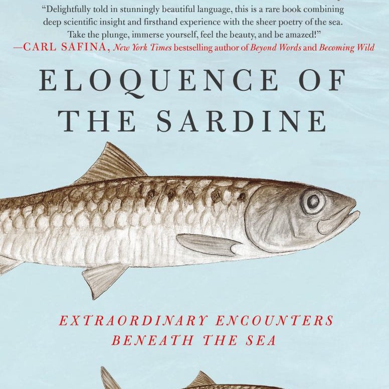 Eloquence of the Sardine