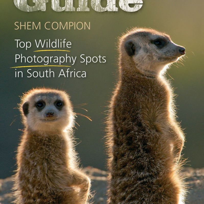 Top Wildlife Photography Spots in South Africa