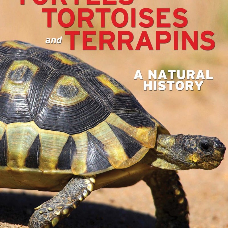 Turtles, Tortoises and Terrapins