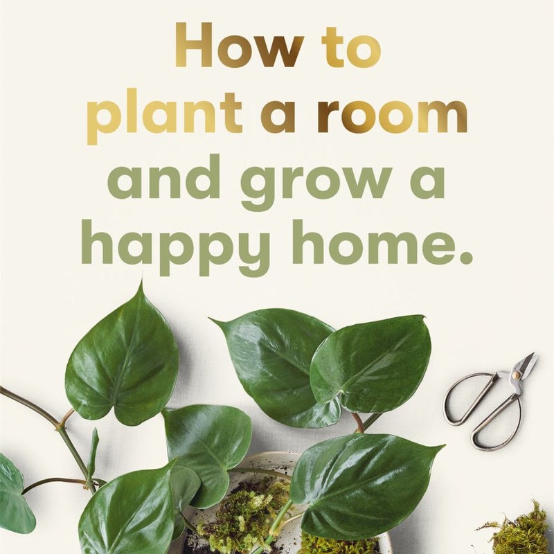 How to Plant a Room