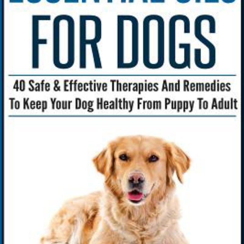 Essential Oils for Dogs