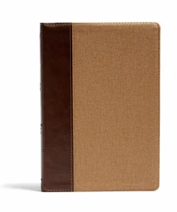 KJV Rainbow Study Bible, Brown/Tan LeatherTouch