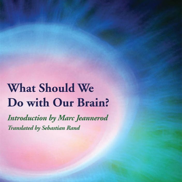 What Should We Do with Our Brain?