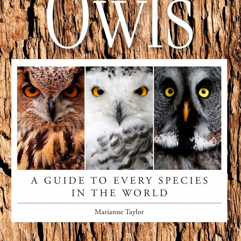 Owls