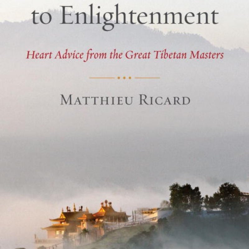 On the Path to Enlightenment