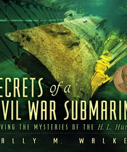 Secrets of a Civil War Submarine