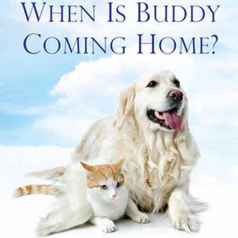 When Is Buddy Coming Home?