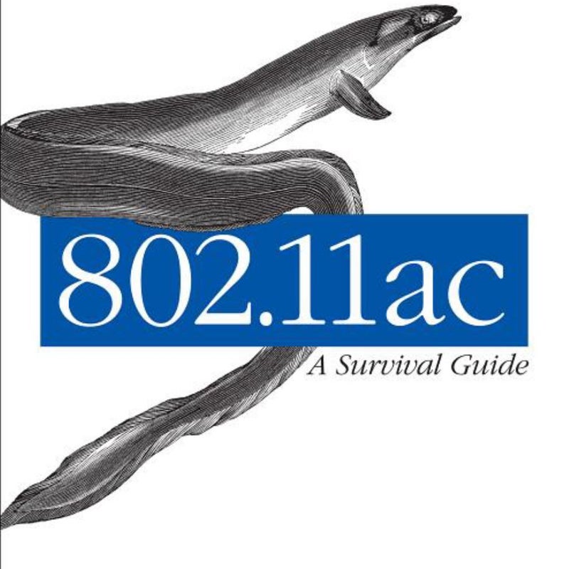 802. 11ac: a Survival Guide