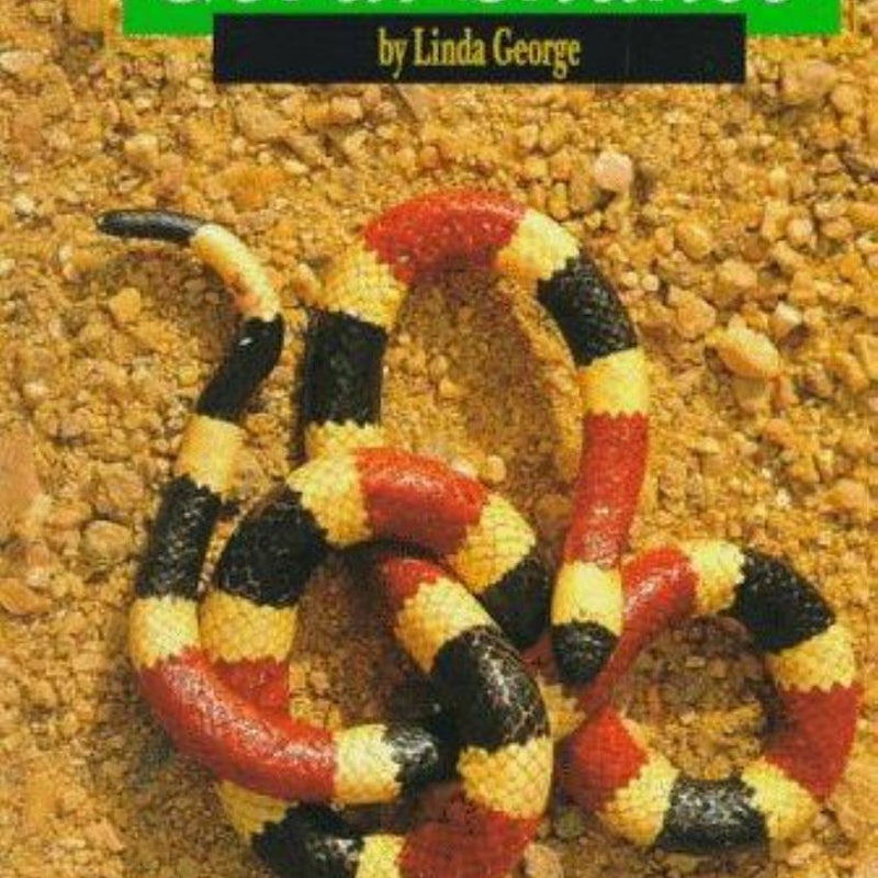 Coral Snakes