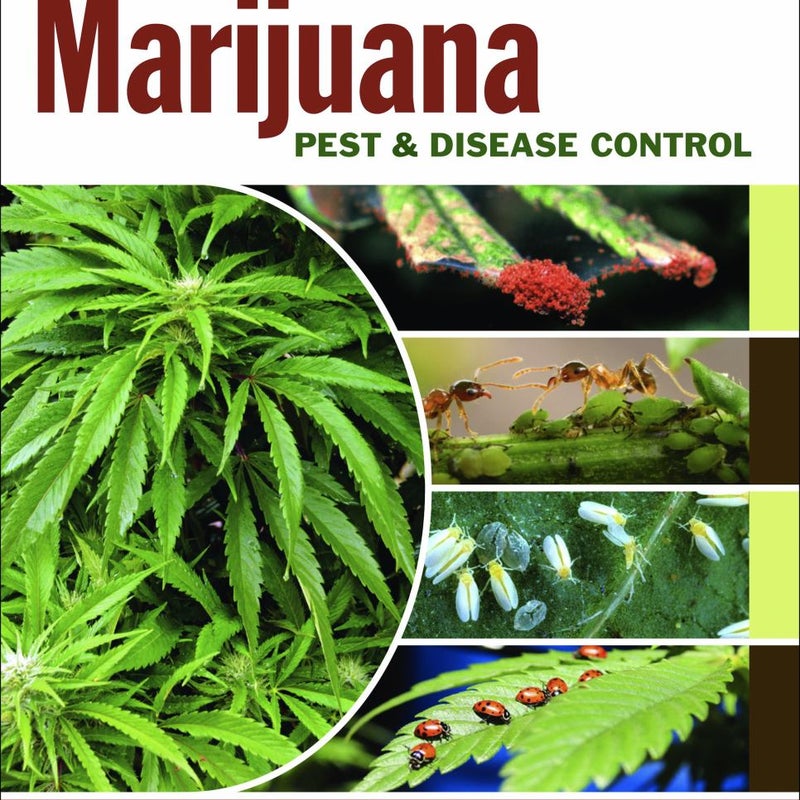 Marijuana Pest and Disease Control