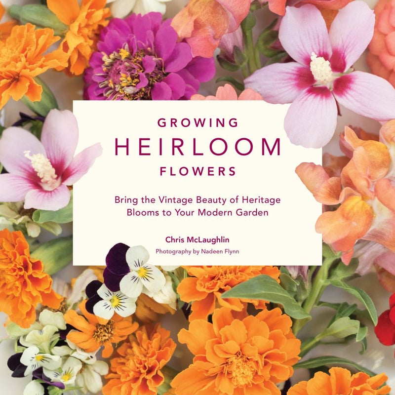 Growing Heirloom Flowers