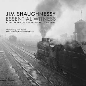 Jim Shaughnessy Essential Witness