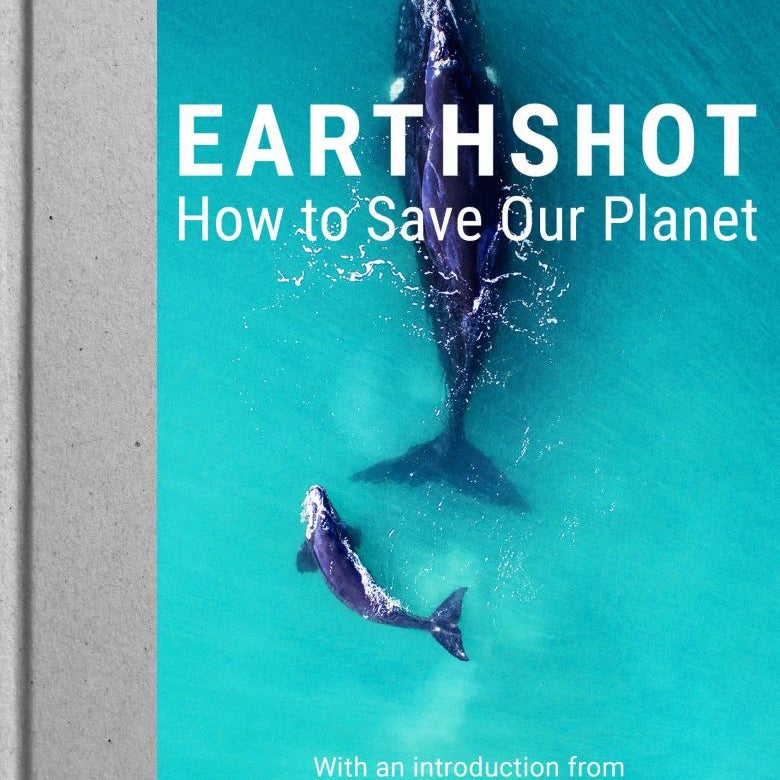 Earthshot