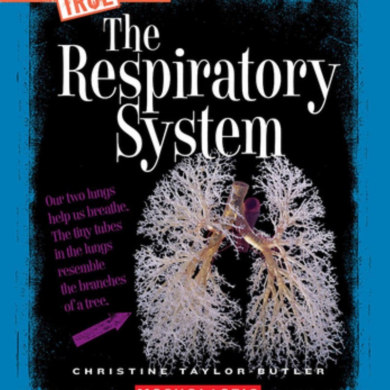 The Respiratory System (a True Book: Health and the Human Body)