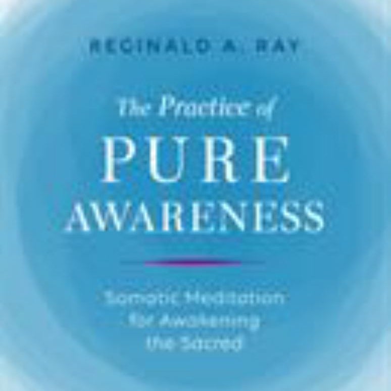 The Practice of Pure Awareness