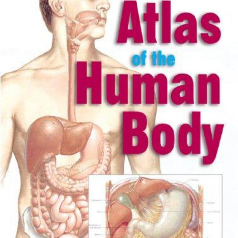 Netter's Atlas of the Human Body by Frank H. Netter | Pangobooks