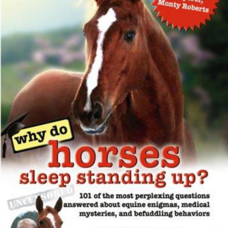 Why Do Horses Sleep Standing Up?