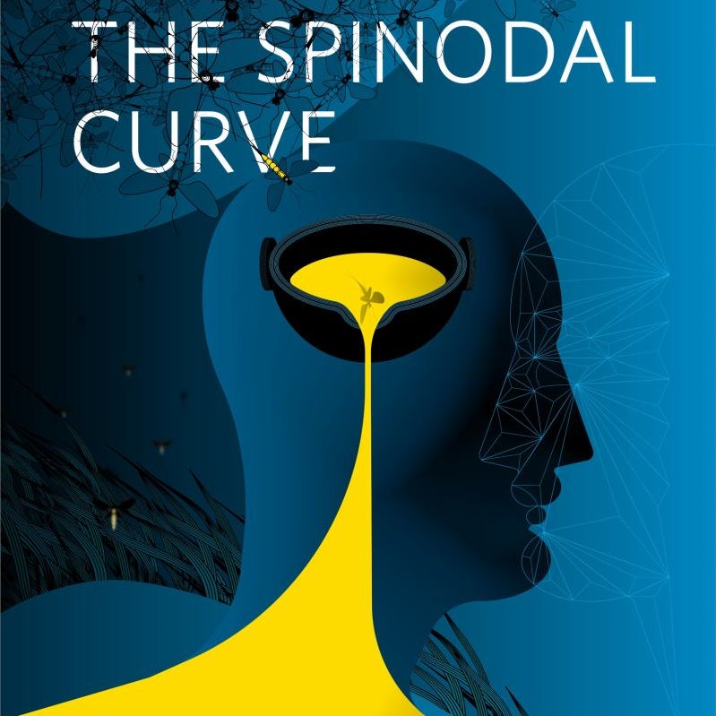 Under the Spinodal Curve
