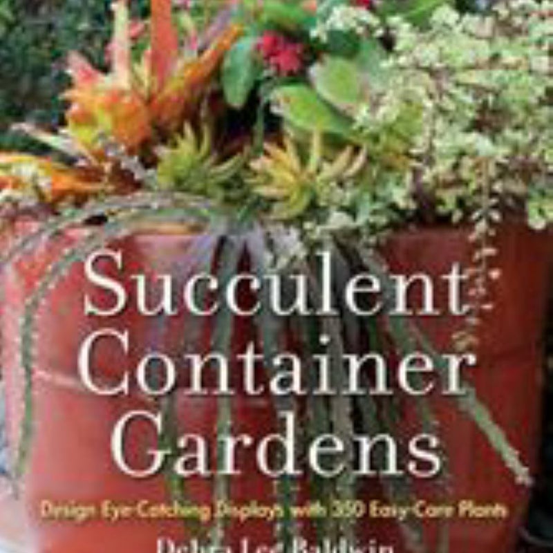 Succulent Container Gardens