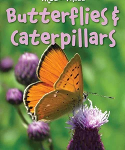 Butterflies and Caterpillars