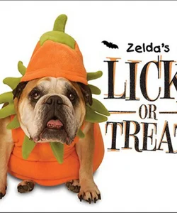 Zelda's Lick-or-Treat