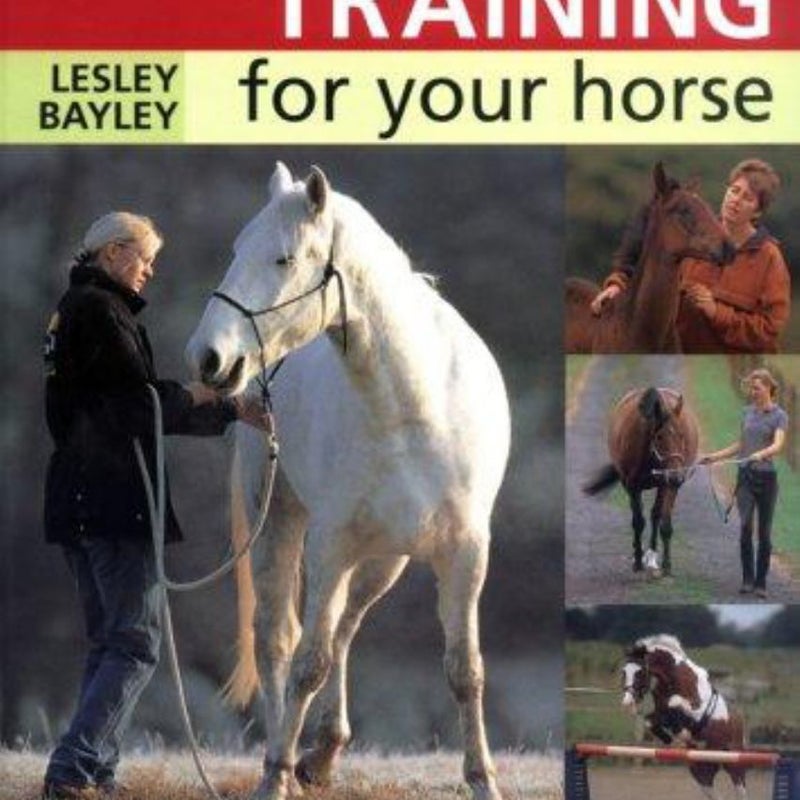 Groundwork Training for Your Horse