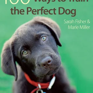 100 Ways to Train the Perfect Dog