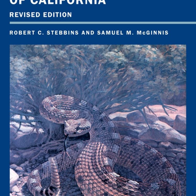 Field Guide to Amphibians and Reptiles of California