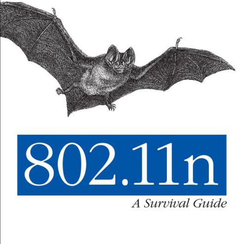 802. 11n: a Survival Guide