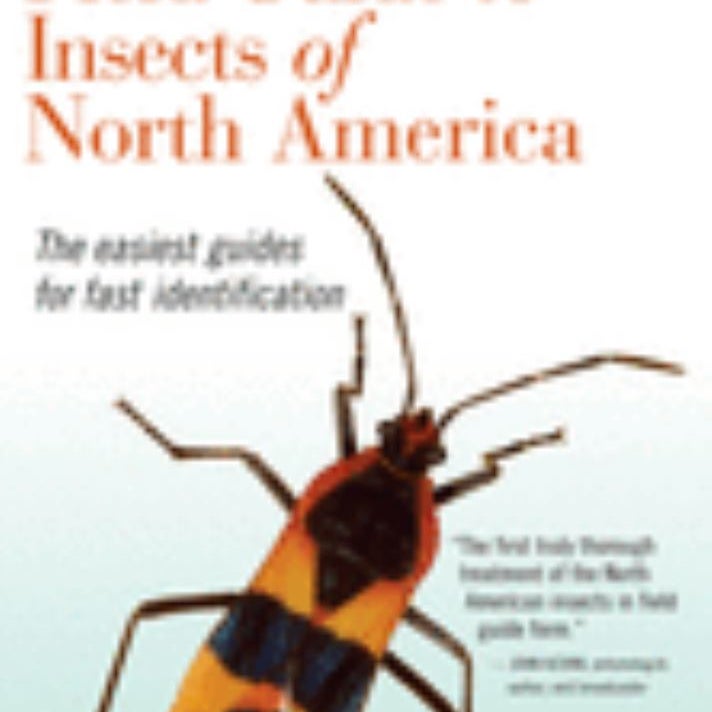 Kaufman Field Guide to Insects of North America