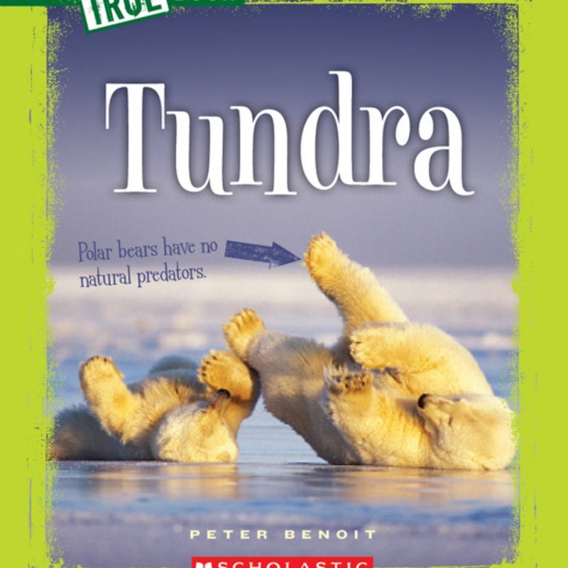 Tundra