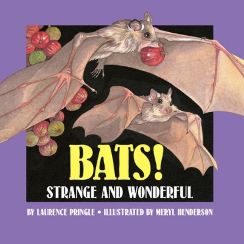 Bats!