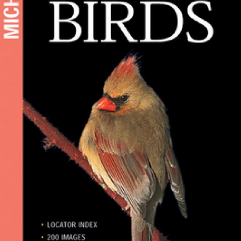 National Geographic Field Guide to Birds