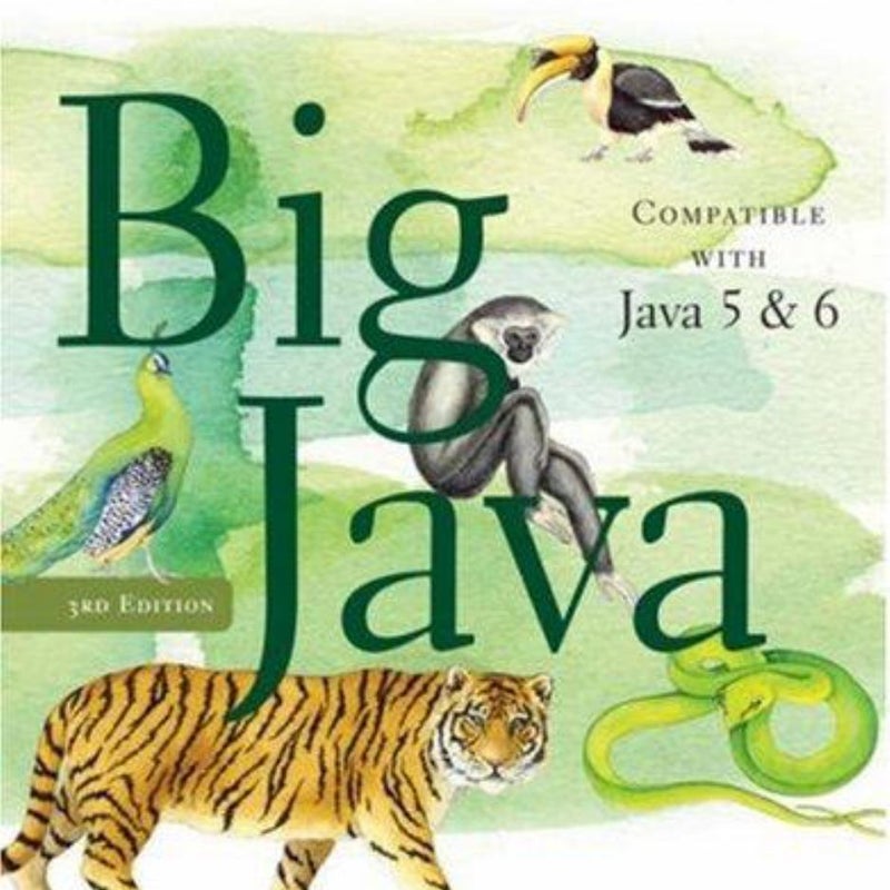 Big Java