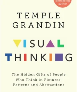 The Visual Thinker