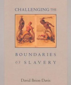 Challenging the Boundaries of Slavery