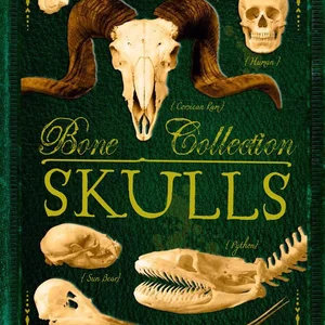 Bone Collection: Skulls