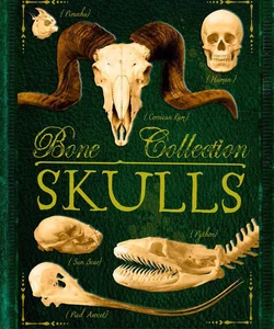 Bone Collection: Skulls