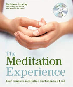 The Meditation Experience