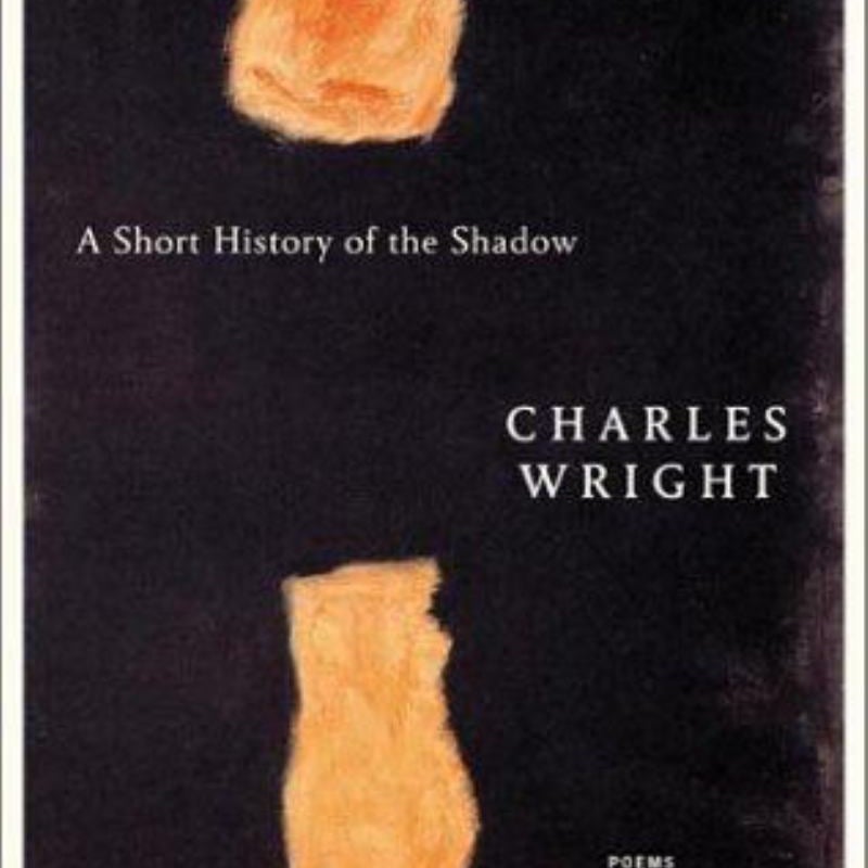 A Short History of the Shadow