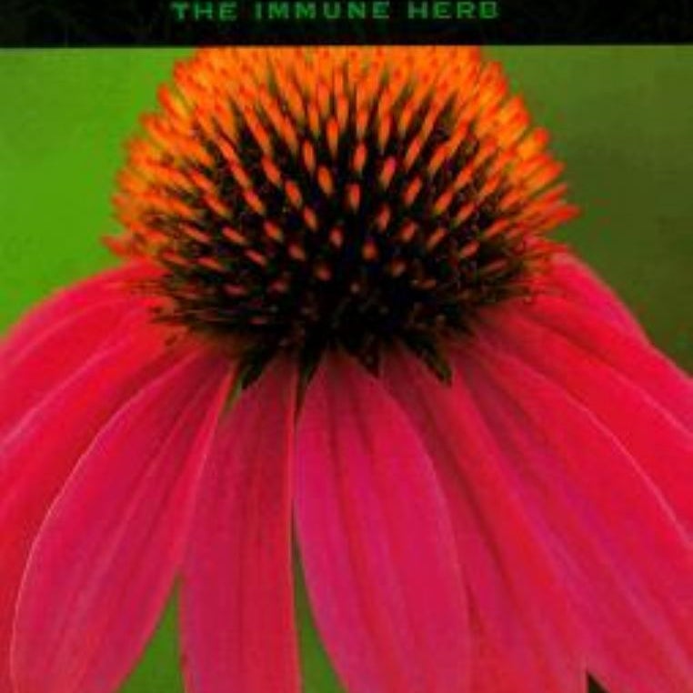 Echinacea