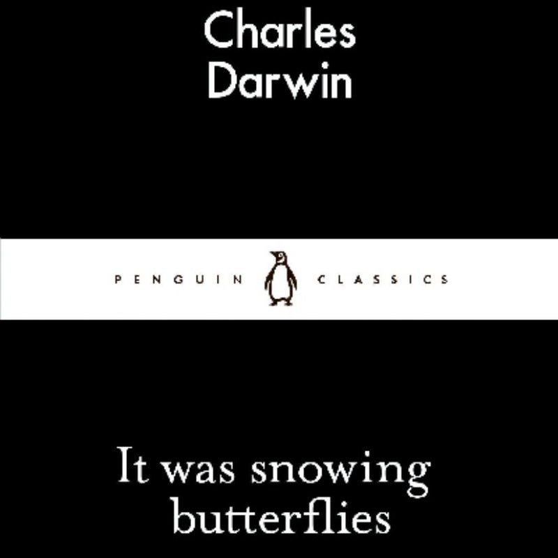 It Was Snowing Butterflies