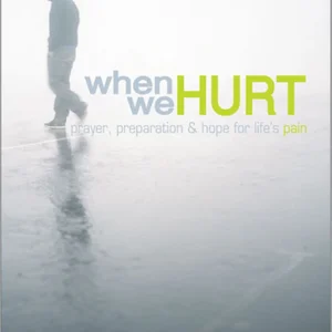 When We Hurt