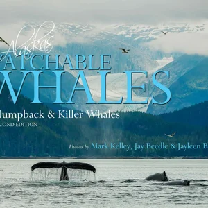 Alaska's Watchable Whales