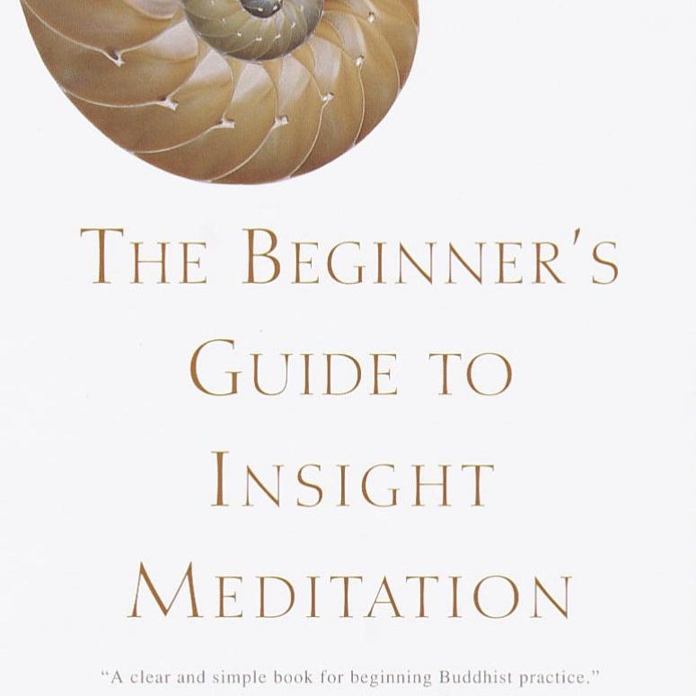 The Beginner's Guide to Insight Meditation